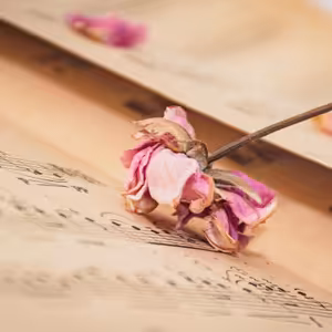 5# Mindfulness - Zvuky a myšlenky, s hudebním podkrese (Zuzka)