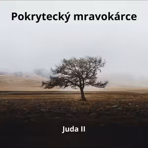 Pokrytecký mravokárce