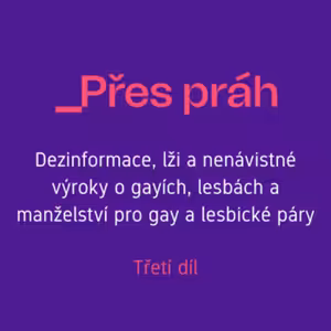 Dezinformace, lži a nenávistné výroky o gayích, lesbách a manželství pro gay a lesbické páry
