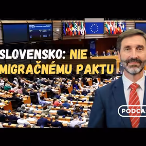 Europoslanci schválili konečnú podobu migračného balíčka. Slovensko a právo veta v roku 2008