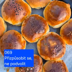 069 přizpůsobit se, ne podvolit