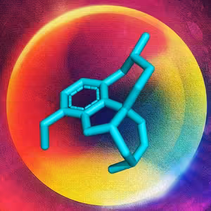 Co nám dala střední škola?