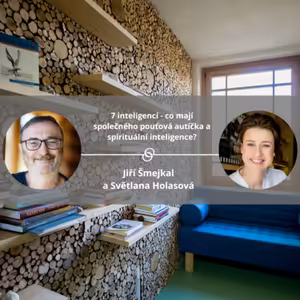 7 inteligencí - co mají společného pouťová autíčka a spirituální inteligence? #mojespokojenost