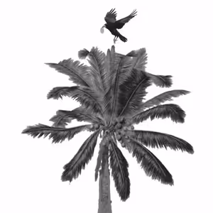 Spaseni skrze důvěru Boží (Sv. Pavla Poustevníka slovenská mše)