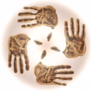 Rodna Cesta - 2014-10-28 Dušičky – sviatok duší a duchovna predkov