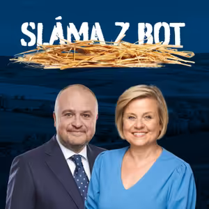 Mění se Evropský parlament?