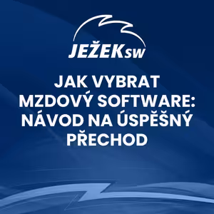 Jak vybrat mzdový software: návod na úspěšný přechod