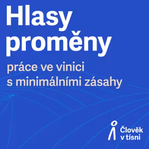 Práce ve vinici s minimálními zásahy