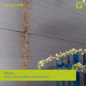 #38 Město. Klíč k řešení klimatické krize