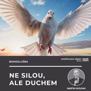 Ne silou, ale Duchem - Martin Moldan
