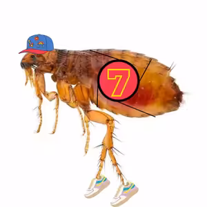 #20 Jako bleška závod vyhrála - TEASER