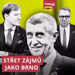 Babišovy kliniky a umělé oplodnění: Učebnicový střet zájmů?