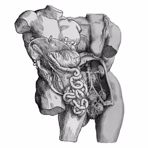 6. anatomie jinak - páteř