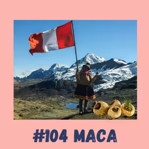 #104 MACA / epigenetika, afrodiziakum, adaptogen, mužské zdraví, menopauza, erekce, řeřicha peruánská, progesteron, premenopauza, adaptogen, stres, sportovní výkonnost, VO2max