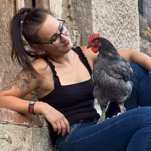 Jak jde čas u Equine-study