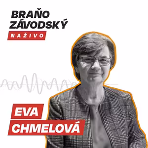 V spojených voľbách môže odovzdať svoj hlas 4,5 milióna voličov, výsledky spoznáme v nedeľu