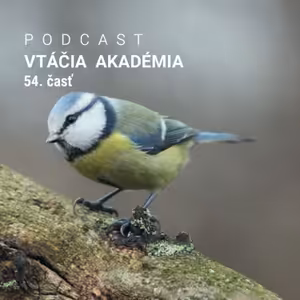 Zabudnite na pečivo!