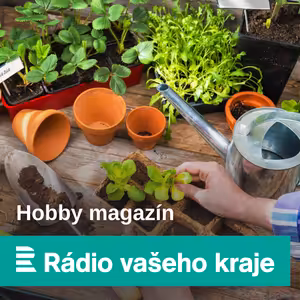 Hobby magazín