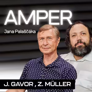 Když se zastavila elektřina. Proč česká přenosová soustava selhala a co s tím