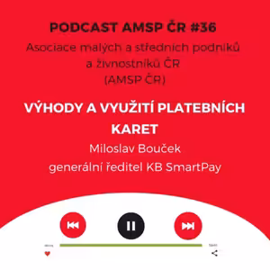 Podcast #36: Výhody a využití platebních karet