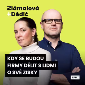 Lámání firemního chleba: Proč jde u nás na platy skoro nejmenší část zisků z celé Evropy?