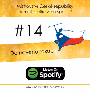 #14. PŘÁNÍ DO NOVÉHO ROKU