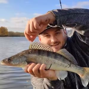 Jak ryby vnímají barvy a různé nástrahy