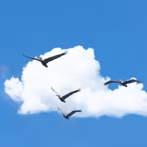 Vzdejme se toho, co zdržuje na cestě za Kristem