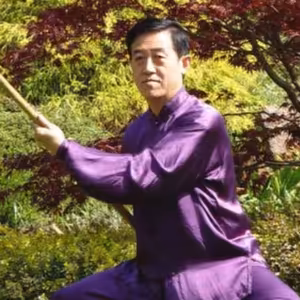 Mistr Chen Zhenglei - Umění Tchaj-ťi čchüan