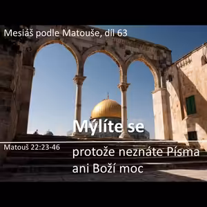Mesiáš podle Matouše 63 - Mýlíte se - Bohuslav Wojnar (20.7.2014)