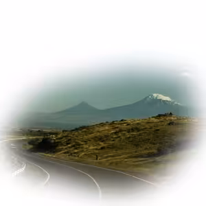 Přežijí cestovky koronavirus?