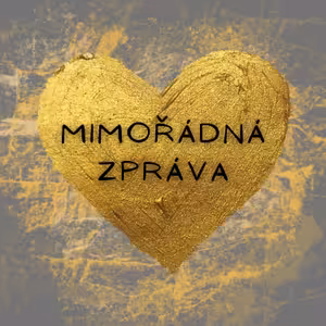 MIMOŘÁDNÁ ZPRÁVA