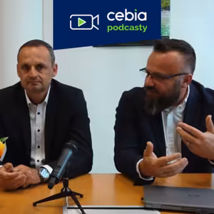 Jaké auto si vybrat a kde ho koupit - 1. část