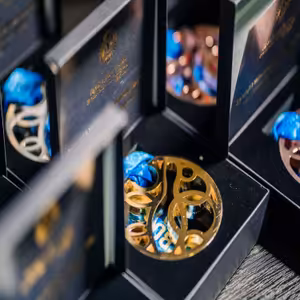 Mezi kuželkami - Medaile, medaile a zase medaile