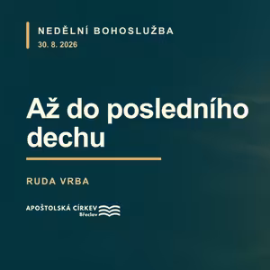 Až do posledního dechu - Rudolf Vrba