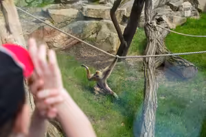 Už máme vztahy s AI. James Bridle ukazuje, že je nejvyšší čas navázat je i s inteligentními tvory