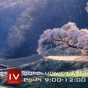 Dopoludnie na InfoVojne s Adrianom 1.4.2026