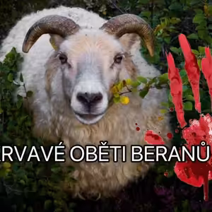 Burjatský šamanismus + uniklá nahrávka Radka Wolfa