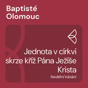Jednota v církvi skrze kříž Pána Ježíše Krista (27.10.2024)
