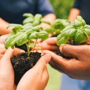 Přijímejme v Ježíši Kristu svěžest nového života