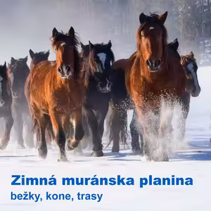 Zimná Muránska planina