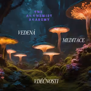 VDĚČNOST [Vedená meditace]