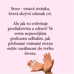 Stres jako odznak cti: Jak přehnané vnímání stresu ovlivňuje vaši produktivitu a zdraví