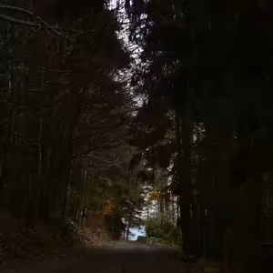 Kto plní vôľu Otca