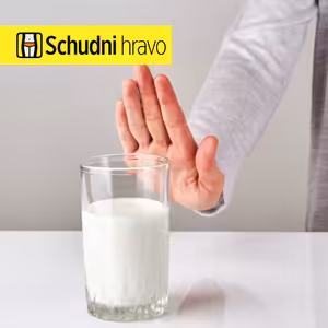 Potravinová alergia a intolerancia – Život s potravinovými obmedzeniami