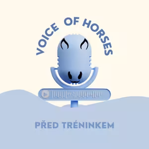 Než jdu na trénink