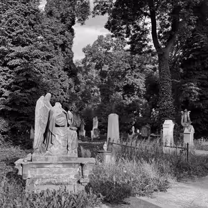 Martin C. Putna: Malostranský hřbitov