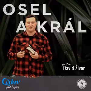 Osel a Král | Mk 11,1-11 | David Živor
