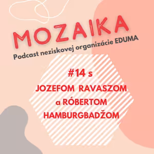 Mozaika 14 - Jozef Ravasz a Róbert Hamburgbadžo: Inšpiratívne príbehy zo života úspešných Rómov