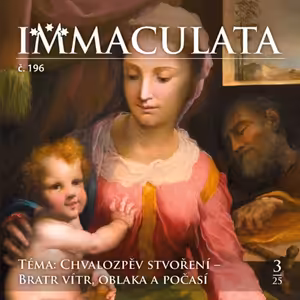 196#18-Bazilika Panny Marie větší